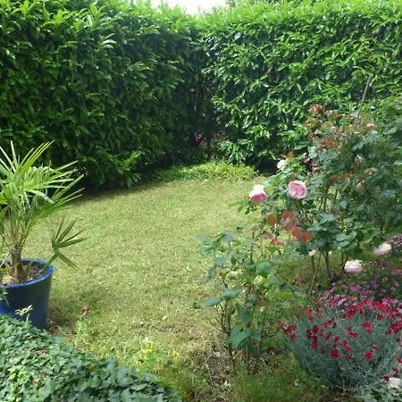 Cool Thonon-les-Bains